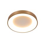 Plafondlamp Ringlede | 1 lichts | Goud, Wit