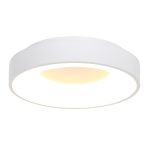 Plafondlamp Ringlede | 1 lichts | Wit