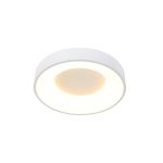 Plafondlamp Ringlede | 1 lichts | Wit