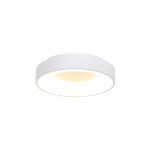 Plafondlamp Ringlede | 1 lichts | Wit