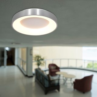 Plafondlamp Ringlede | 1 lichts | Wit, Zilver, Grijs