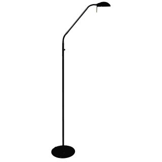 Vloerlamp Biron | 1 lichts | Zwart