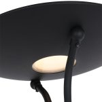 Vloerlamp Biron | 2 lichts | Zwart