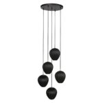 Hanglamp HaloSwap | 5 lichts | Zwart
